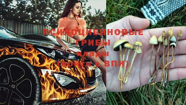 тгк Каменногорск
