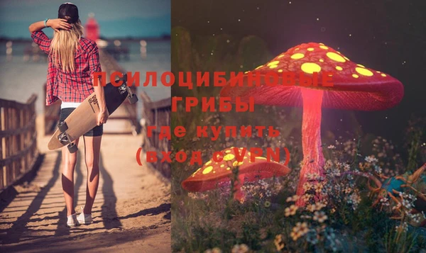 ПСИЛОЦИБИНОВЫЕ ГРИБЫ Иннополис