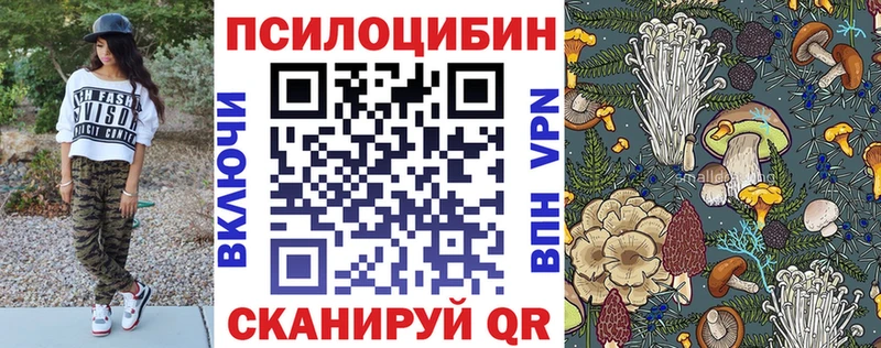 Псилоцибиновые грибы Psilocybine cubensis  Купить где  Навашино 